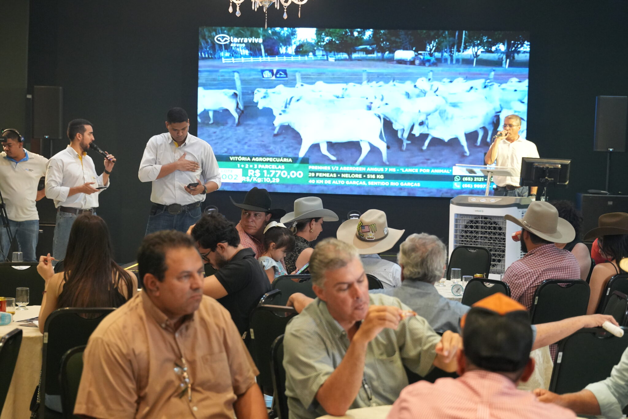 Leilão do Cavalo Pantaneiro movimenta Expoagro e reforça valorização da raça
